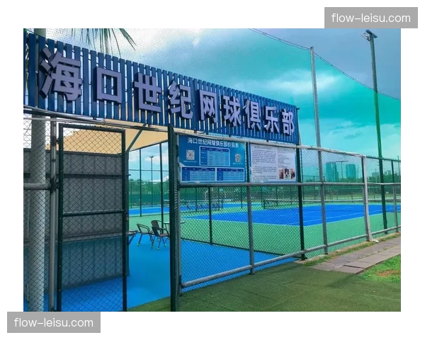 武宁县创建“全国网球示范县”，实现县有网球场、乡有网球点、校有网球课